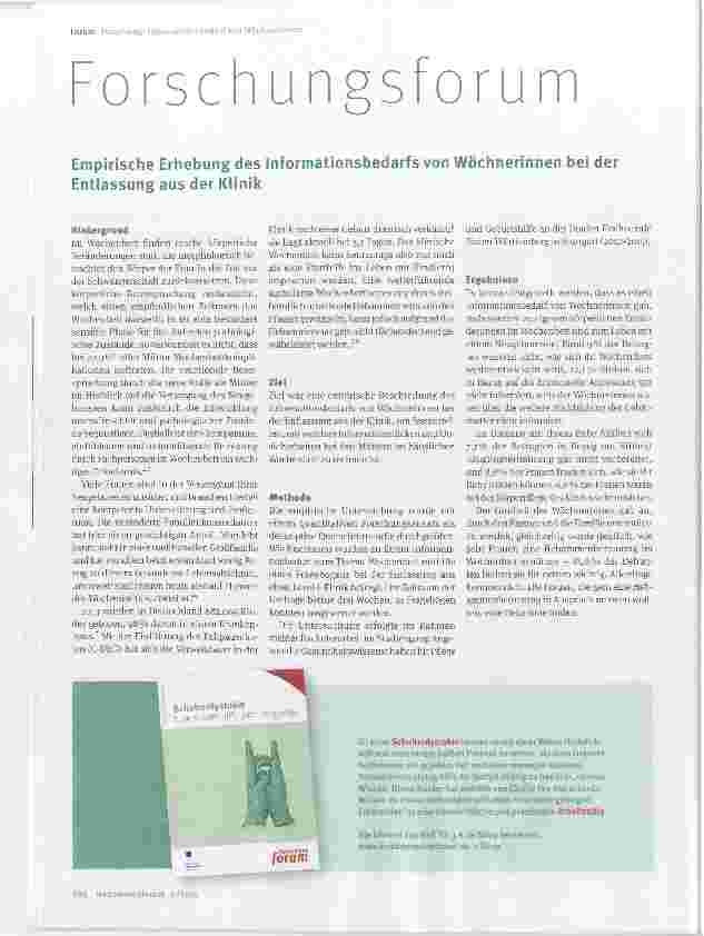 Vorschauseite 1: Empirische Erhebung des Informationsbedarfs von Wöchnerinnen bei der Entlassung aus der Klinik
