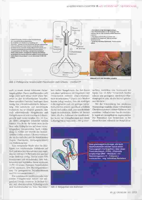 Vorschauseite 4: Nosokomiale Infektionen die Crux der hochtechnisierten Medizin? Krankenhausinfektionen in der öffentlichen Diskussion