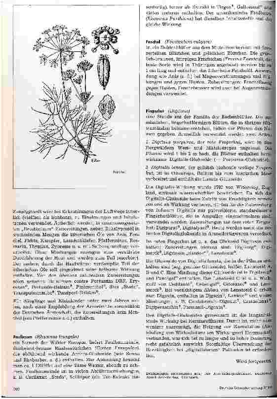 Vorschauseite 2: Arzneipflanzen 2. Fortsetzung