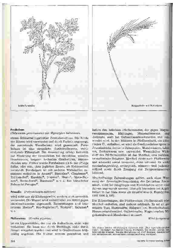 Vorschauseite 2: Arzneipflanzen 7. Fortsetzung