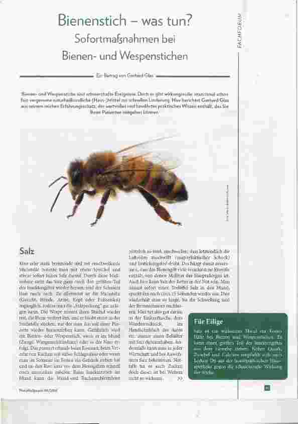 Vorschauseite 1: Bienenstich - was tun? Sofortmaßnahmen bei Bienenund Wespenstichen