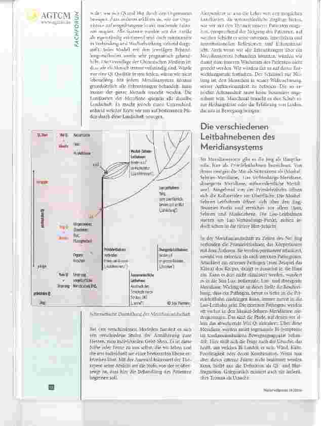 Vorschauseite 2: Reiseführer in das Meridiansystem der chinesischen Medizin