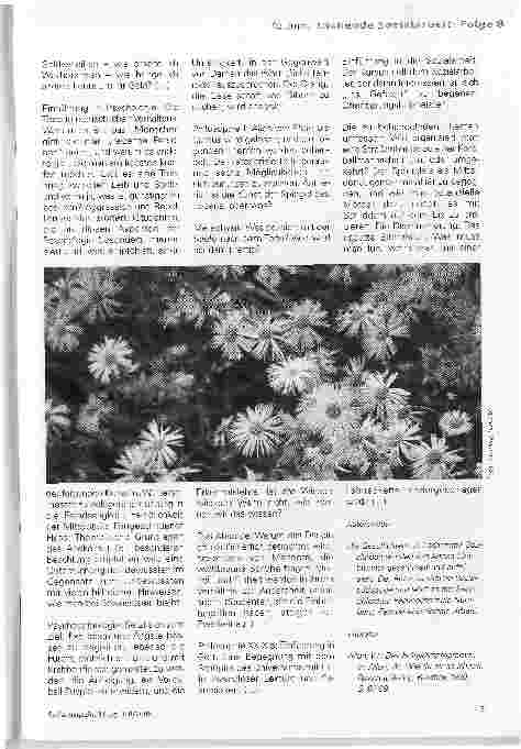 Vorschauseite 2: Woody Allen: Das Frühjahrsprogramm