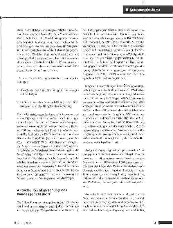 Vorschauseite 2: Der Sturz - die Haftungsfalle im Gesundheitswesen