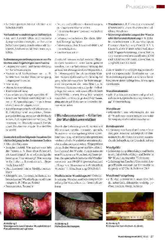 Vorschauseite 2: Wunddokumentation Anamnese und Assessment, Teil 1