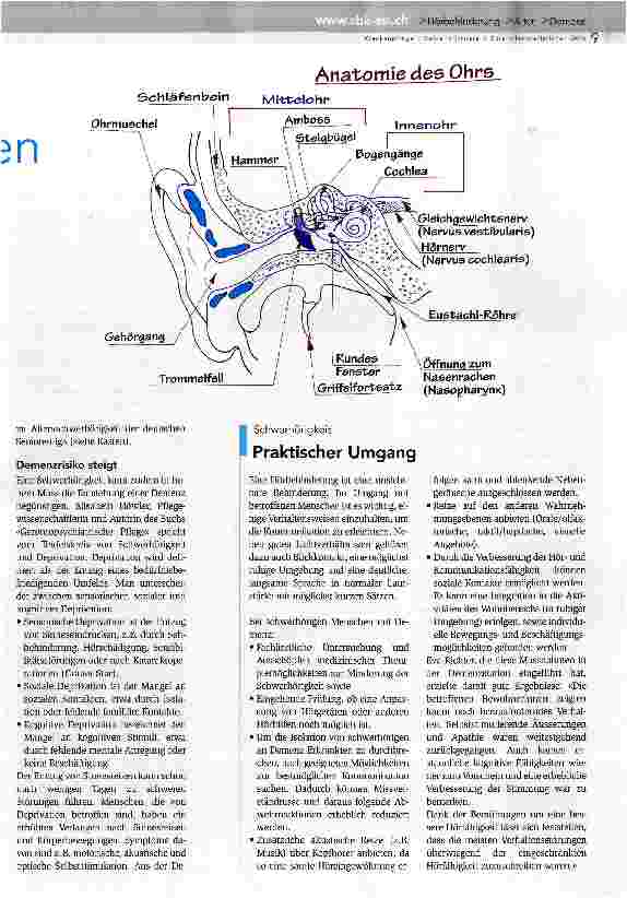 Vorschauseite 2: Den Teufelskreis unterbrechen