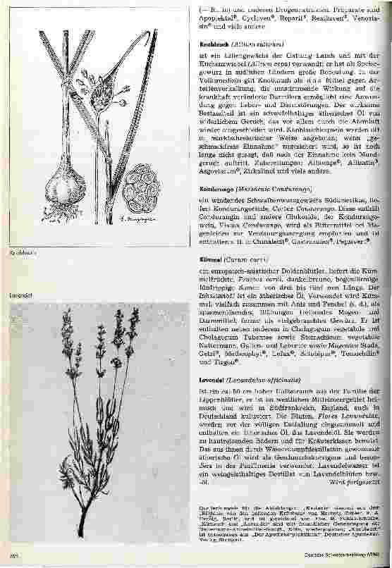Vorschauseite 2: Arzneipflanzen 5. Fortsetzung
