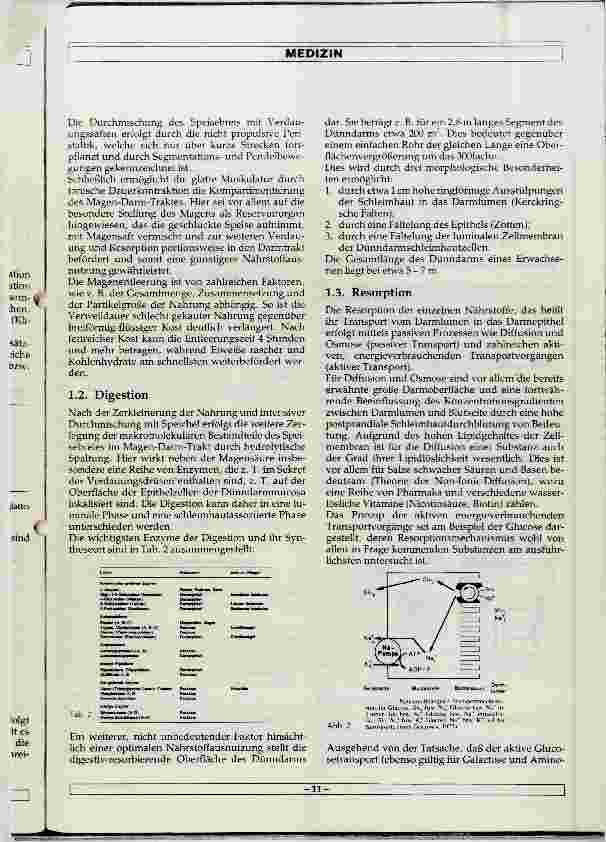 Vorschauseite 2: Physiologie der Verdauung