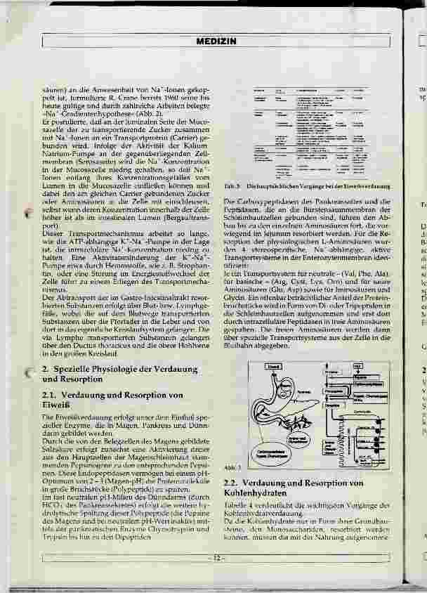 Vorschauseite 3: Physiologie der Verdauung