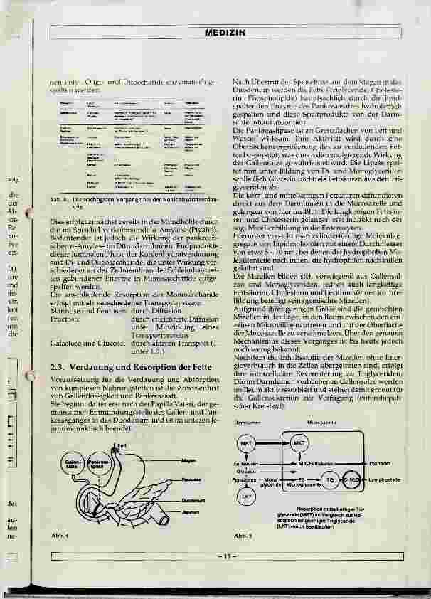 Vorschauseite 4: Physiologie der Verdauung