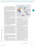 Vorschauseite 5: Teambuilding in einer ergotherapeutischen Praxis: Ein Blick auf das Führungshandeln
