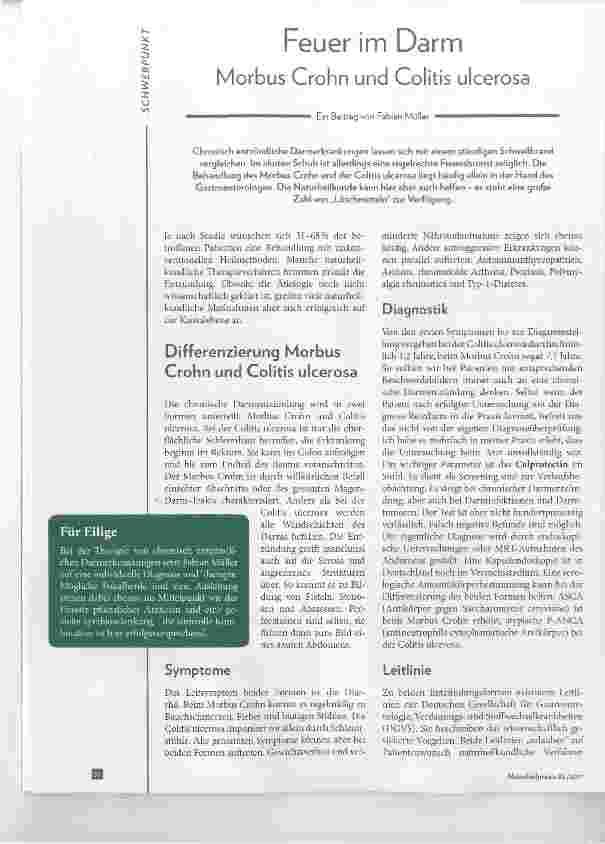 Vorschauseite 1: Feuer im Darm Morbus Crohn und Colitis ulcerosa