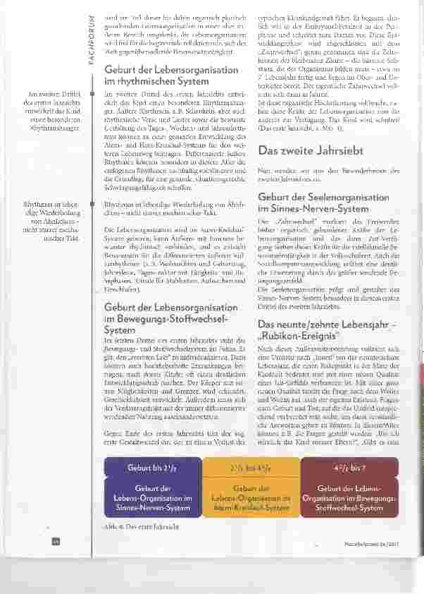 Vorschauseite 3: Gesetzmäßigkeiten des menschlichen Lebenslaufes Teil II - Die leibliche Entwicklung