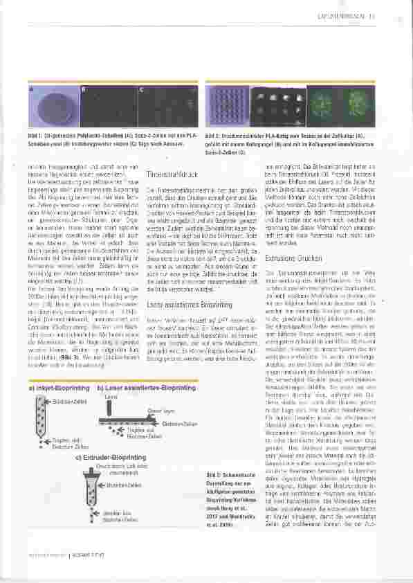 Vorschauseite 2: Tissue Engineering 3D-Druck - Bioprinting