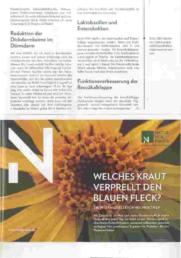 Vorschauseite 3: Overgrowthsyndrom Das Richtige am falschen Platz