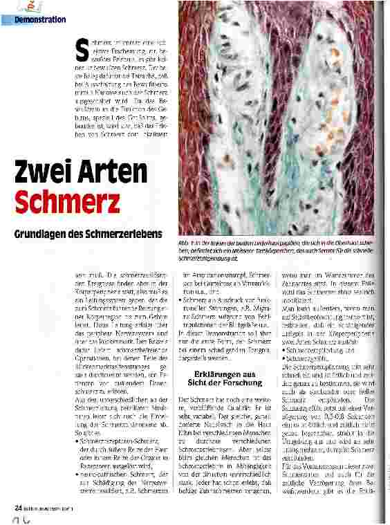Vorschauseite 1: Zwei Arten Schmerz