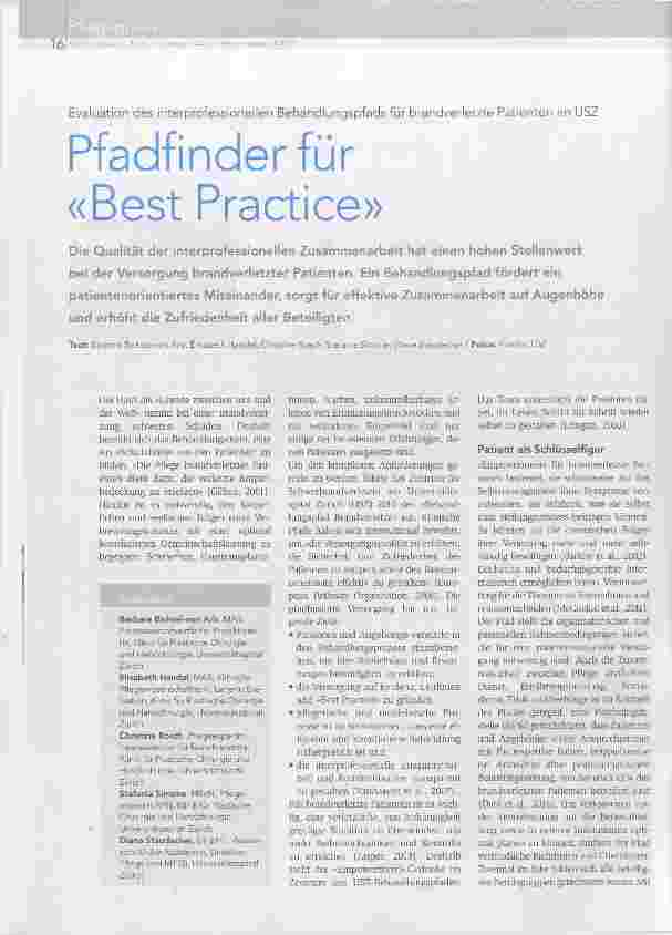 Vorschauseite 1: Pfadfinder für «Best Practice»
