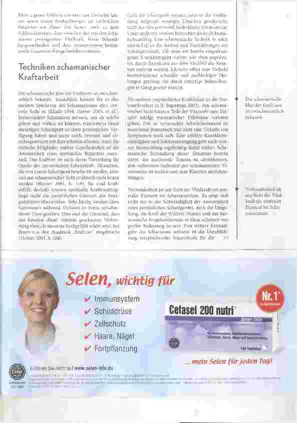 Vorschauseite 3: Das Vitalkraftmilieu Immunwirksame Aspekte schamanischer Kraftarbeit