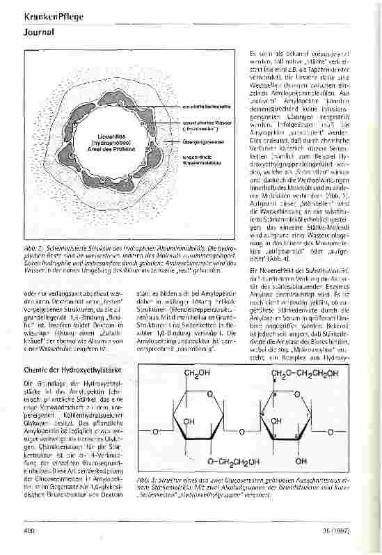 Vorschauseite 2: Hydroxyethylstärke als Plasmaersatz