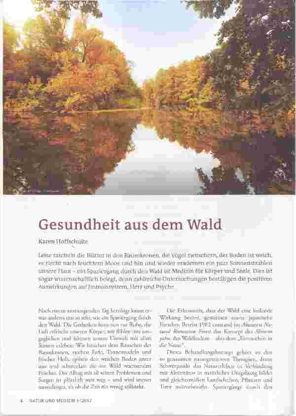 Vorschauseite 1: Gesundheit aus dem Wald