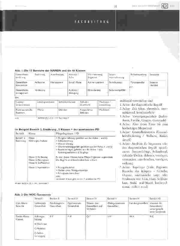 Vorschauseite 4: Babylonische Sprachverwirrung? - taxonomien, klassifikationen - gemeinsame pflegefachsprache und wissensmanagement