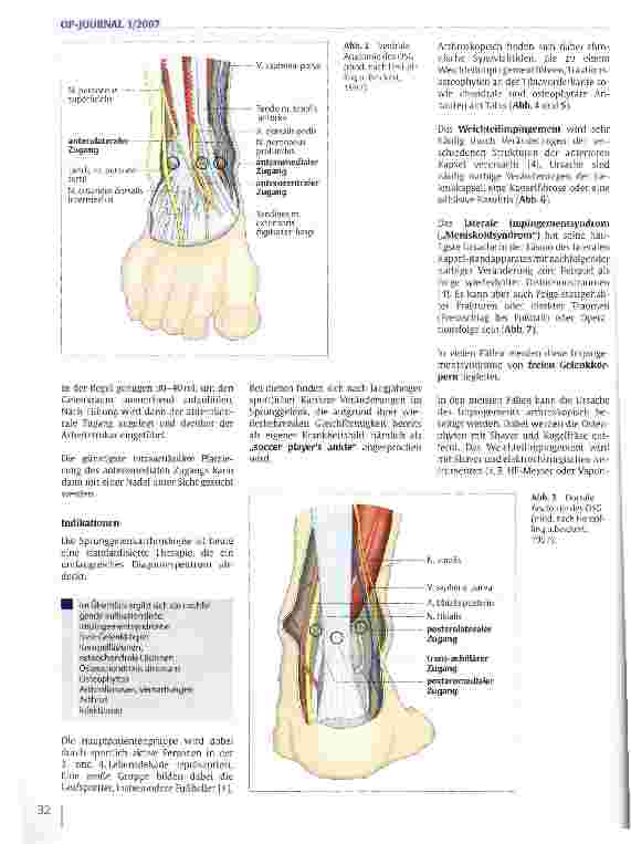 Vorschauseite 3: Arthroskopie an Ellenbogengelenk und oberem Sprunggelenk