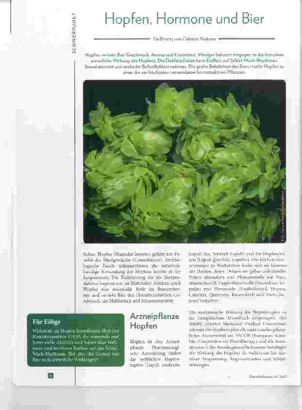 Vorschauseite 1: Hopfen, Hormone und Bier