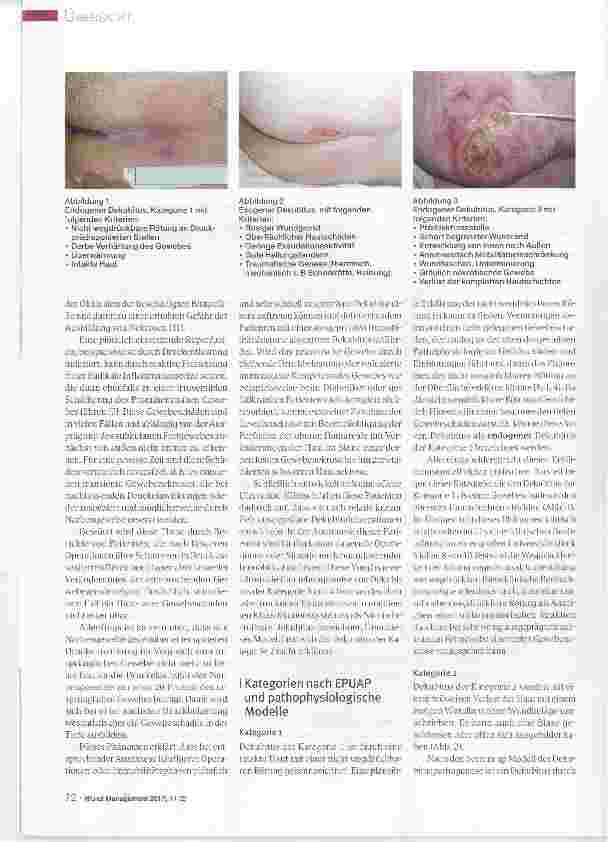 Vorschauseite 4: Der Dekubitus Eine differenzierte Betrachtung von Dekubitusdiagnose und -klassifikation