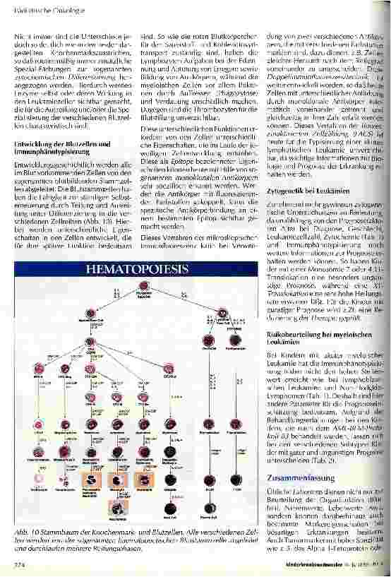 Vorschauseite 6: Bösartige Erkrankungen im Kindesalter - Diagnose und Einschätzung der Prognose durch Tumormarker und spezielle Laboruntersuchungen