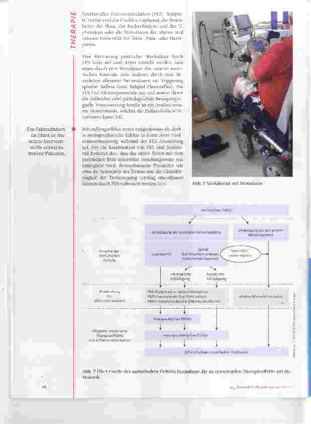 Vorschauseite 2: Funktionelle Elektrostimulation am Sitzfahrrad