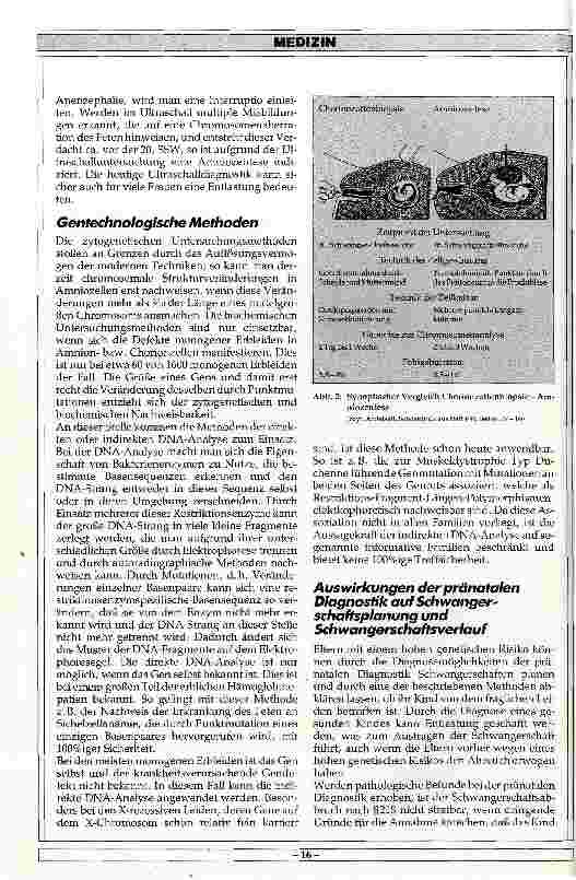 Vorschauseite 5: Möglichkeiten, Risiken und ethische Probleme der pränatalen Diagnostik