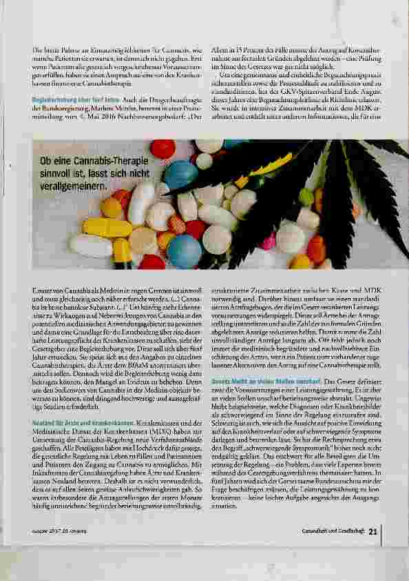 Vorschauseite 4: Cannabis macht Karriere