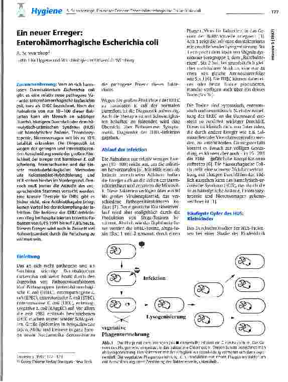Vorschauseite 1: Ein neuer Erreger: Enterohämorrhagische Escherichia coli