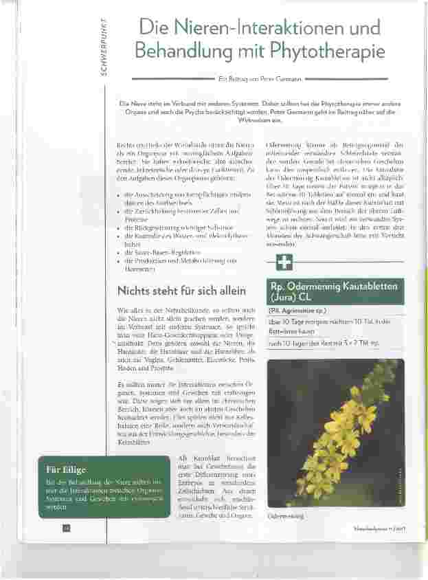 Vorschauseite 1: Die Nieren-Interaktionen und Behandlung mit Phytotherapie