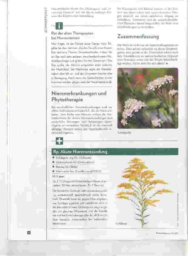 Vorschauseite 3: Die Nieren-Interaktionen und Behandlung mit Phytotherapie