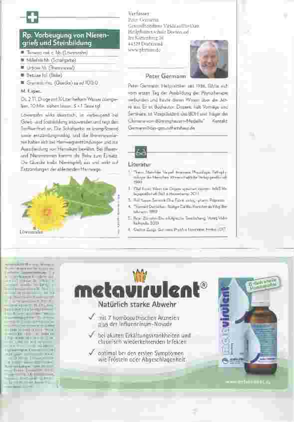 Vorschauseite 4: Die Nieren-Interaktionen und Behandlung mit Phytotherapie