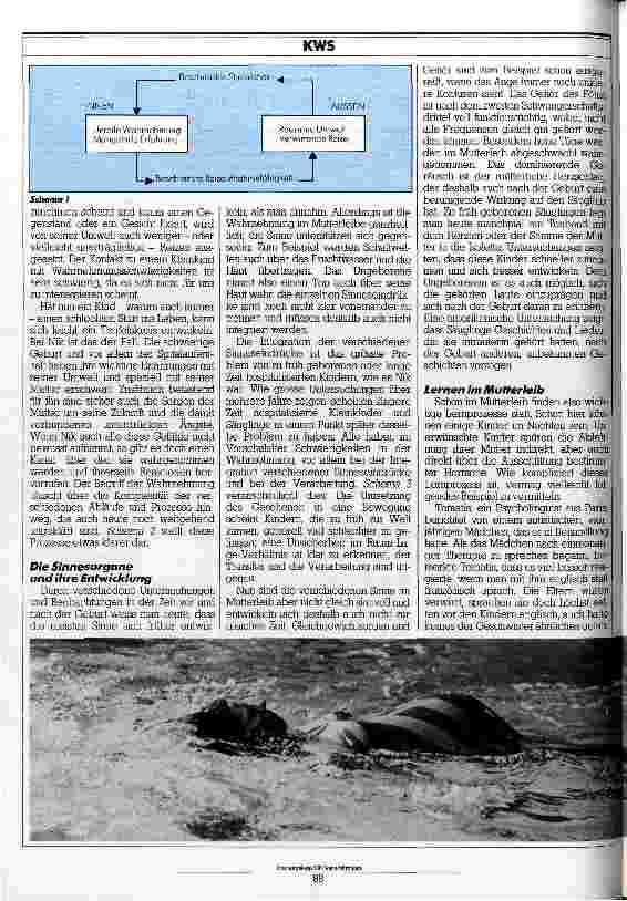 Vorschauseite 2: Der Schlüssel zur Kommunikation Die Entwicklung der frühkindlichen Wahrnehmung