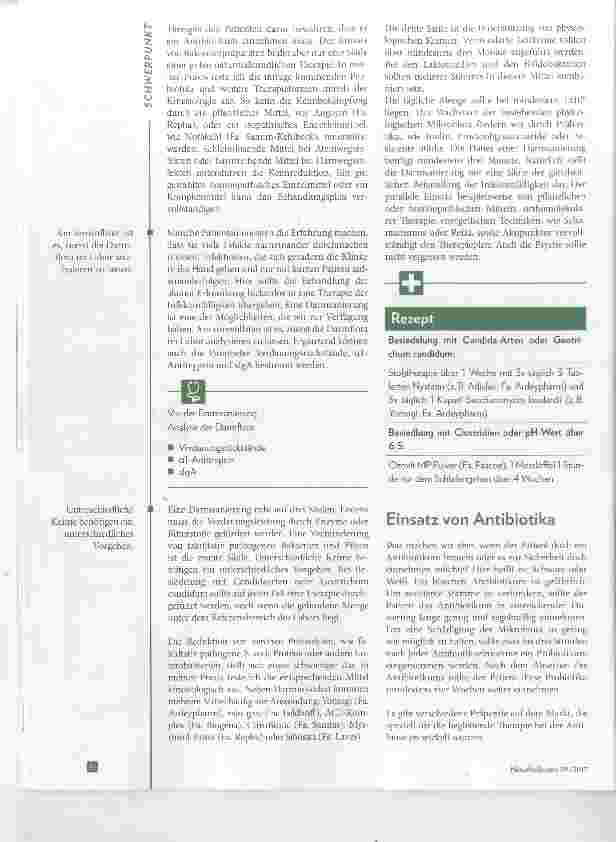 Vorschauseite 3: Probiotika statt Antibiotika Die Behandlung von Infekten mit Bakterienpräparaten