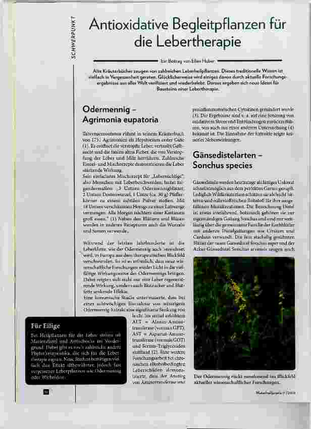 Vorschauseite 1: Antioxidative Begleitpflanzen für die Lebertherapie