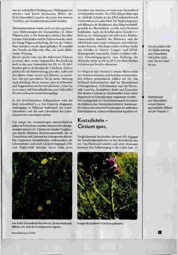 Vorschauseite 2: Antioxidative Begleitpflanzen für die Lebertherapie
