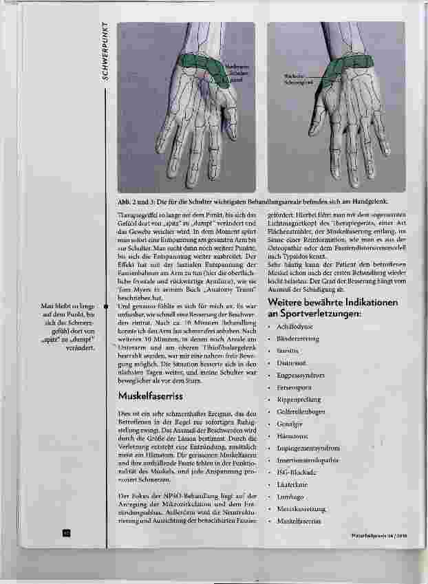 Vorschauseite 3: Sportverletzungen und Traumata behandeln und verbeugen Mit der Siener-Therapie NPSO