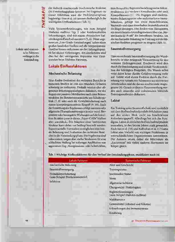 Vorschauseite 2: Training und Entzündung Teil 1: Lokale und systemische Einflussfaktoren in der frühen Heilungsphase