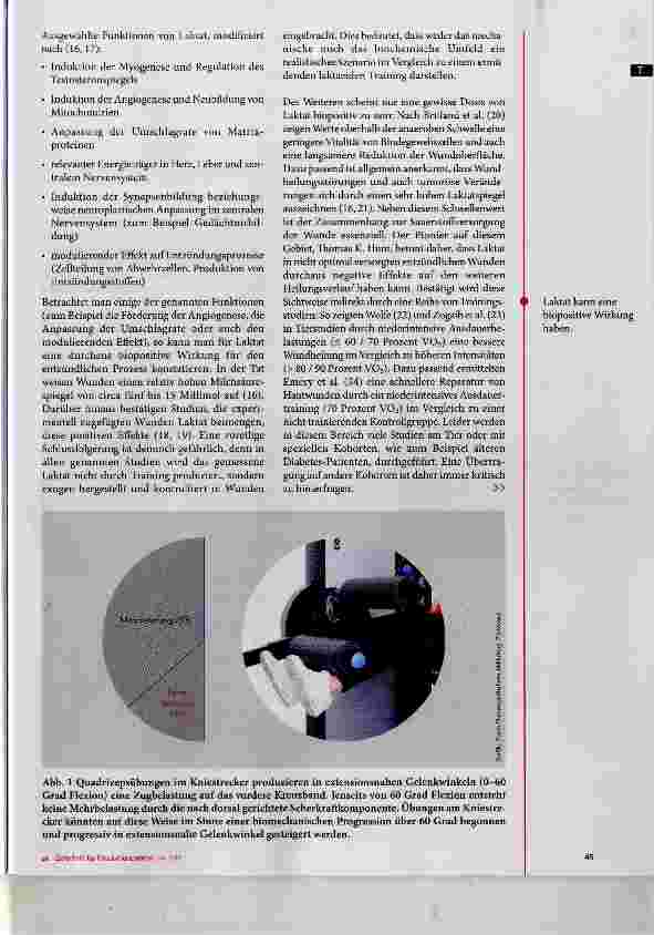 Vorschauseite 3: Training und Entzündung Teil 1: Lokale und systemische Einflussfaktoren in der frühen Heilungsphase