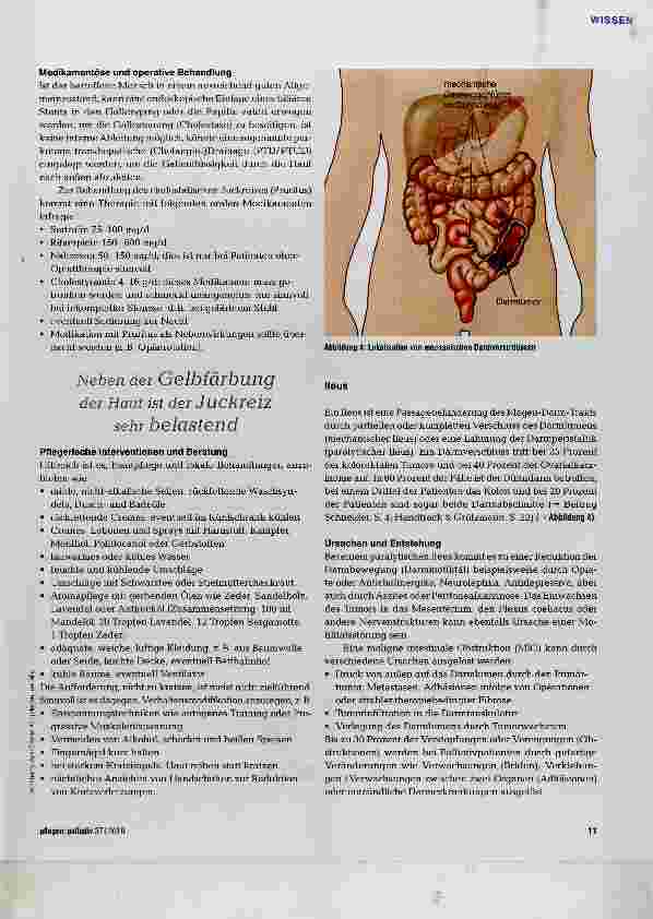Vorschauseite 4: Linderung von gastrointestinal verursachten Symptomen