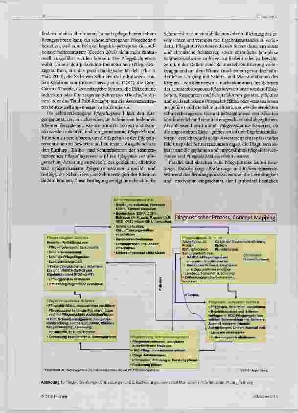 Vorschauseite 2: Advanced Pain Care Planning