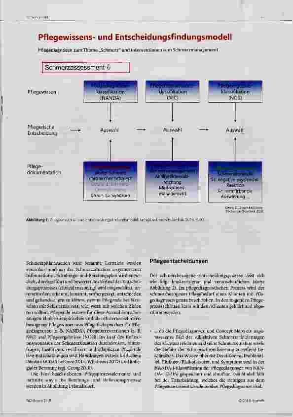 Vorschauseite 3: Advanced Pain Care Planning