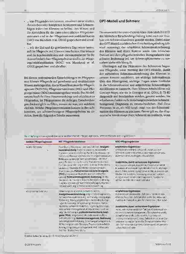 Vorschauseite 4: Advanced Pain Care Planning