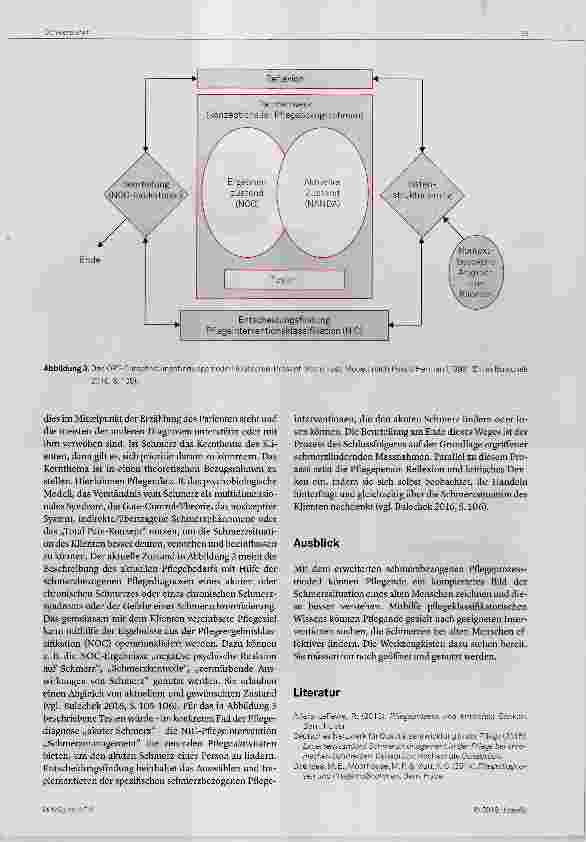 Vorschauseite 5: Advanced Pain Care Planning