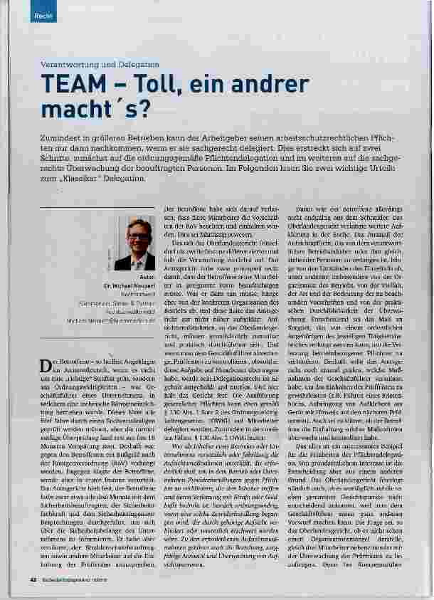 Vorschauseite 1: TEAM - Toll, ein andrer macht es?
