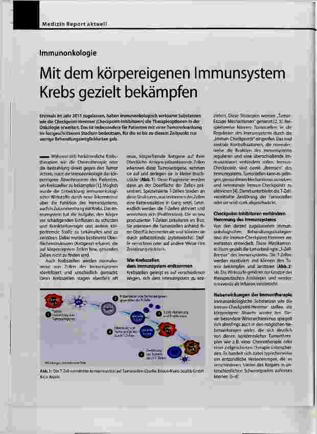 Vorschauseite 1: Mit dem körpereigenen Immunsystem Krebs gezielt bekämpfen